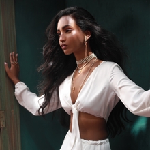 Load image into Gallery viewer, PARROT EARRINGS (7898083098755)