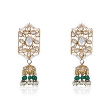Load image into Gallery viewer, Darbar Earrings (4860141437059)