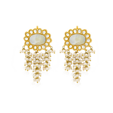 Load image into Gallery viewer, MOTHER OF PEARL FLOWER EARRINGS (7898083065987)
